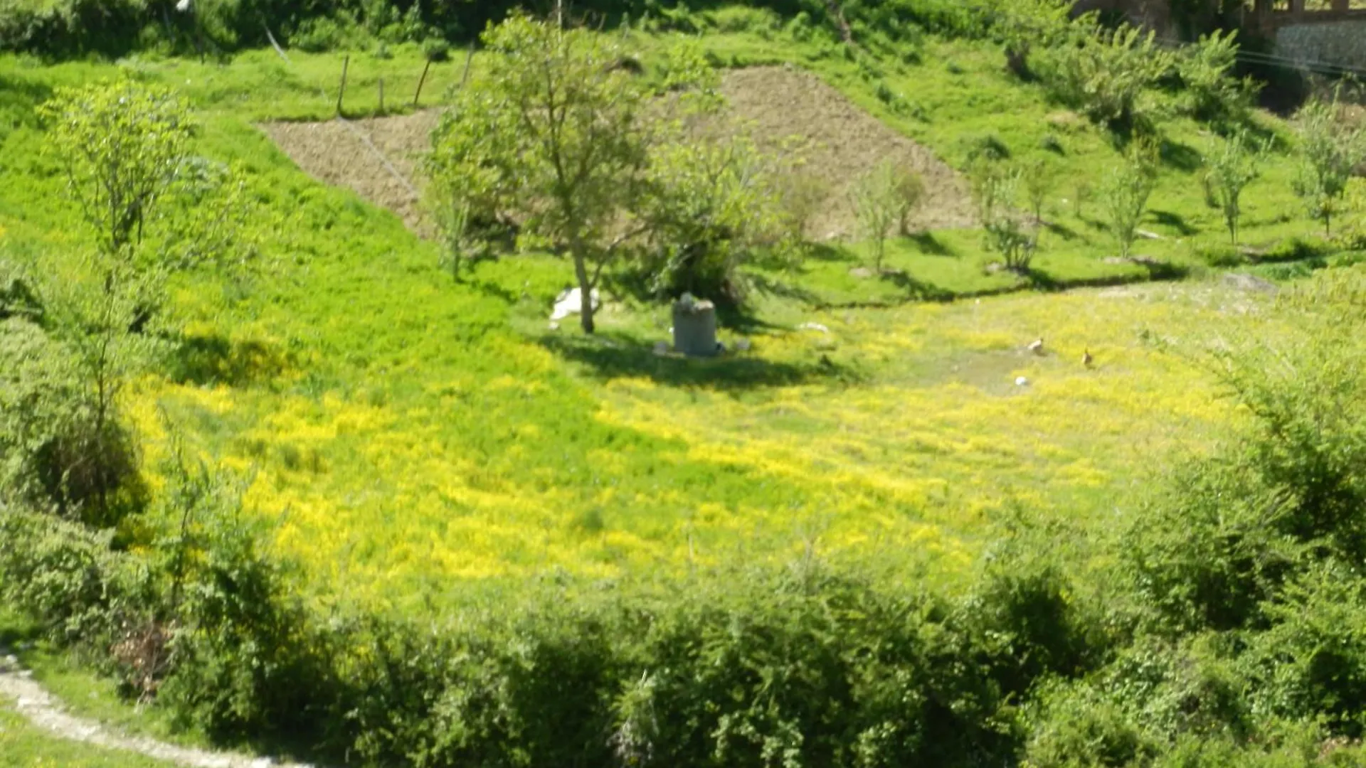 Πανσιόν Villa Mugs Ljaknasi Αλβανία
