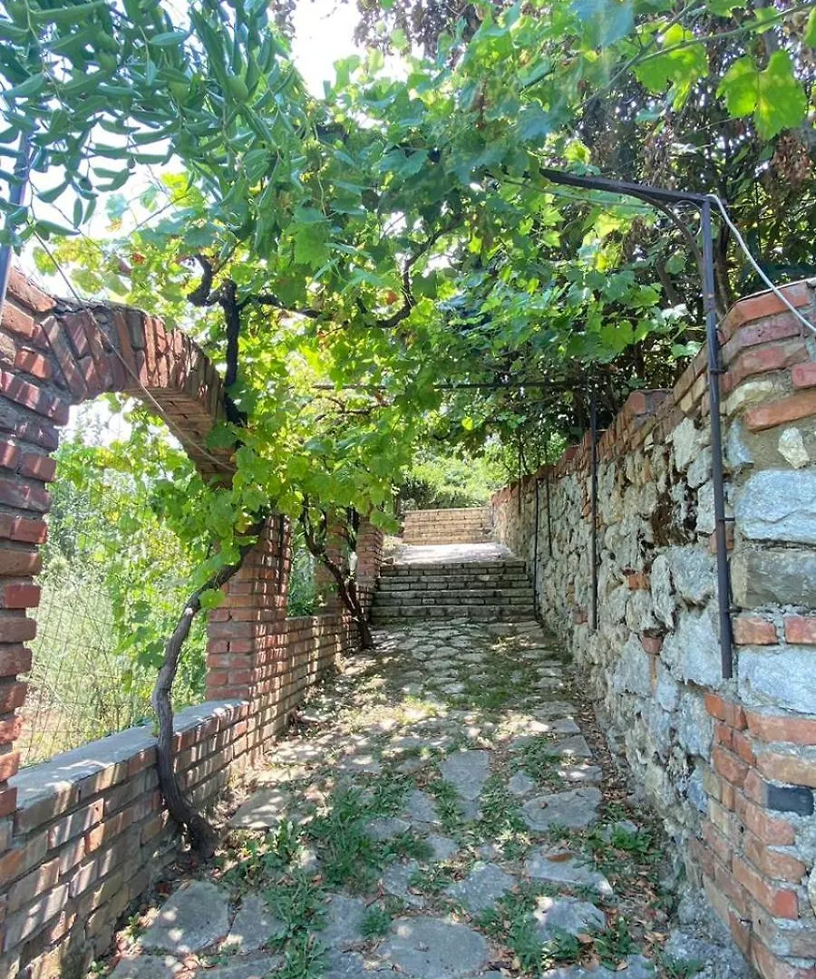 Villa Mugs Tirana